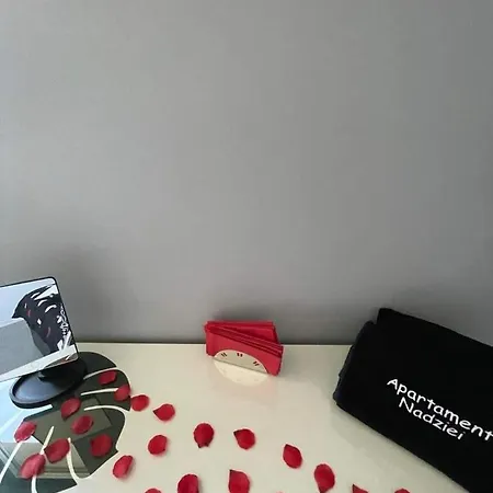 Appartement Nadziei *